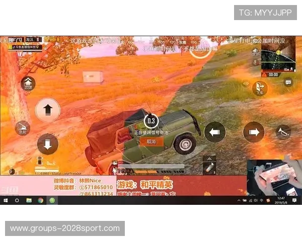 和平精英交叉步技巧详解助你提升战场机动性与反应速度